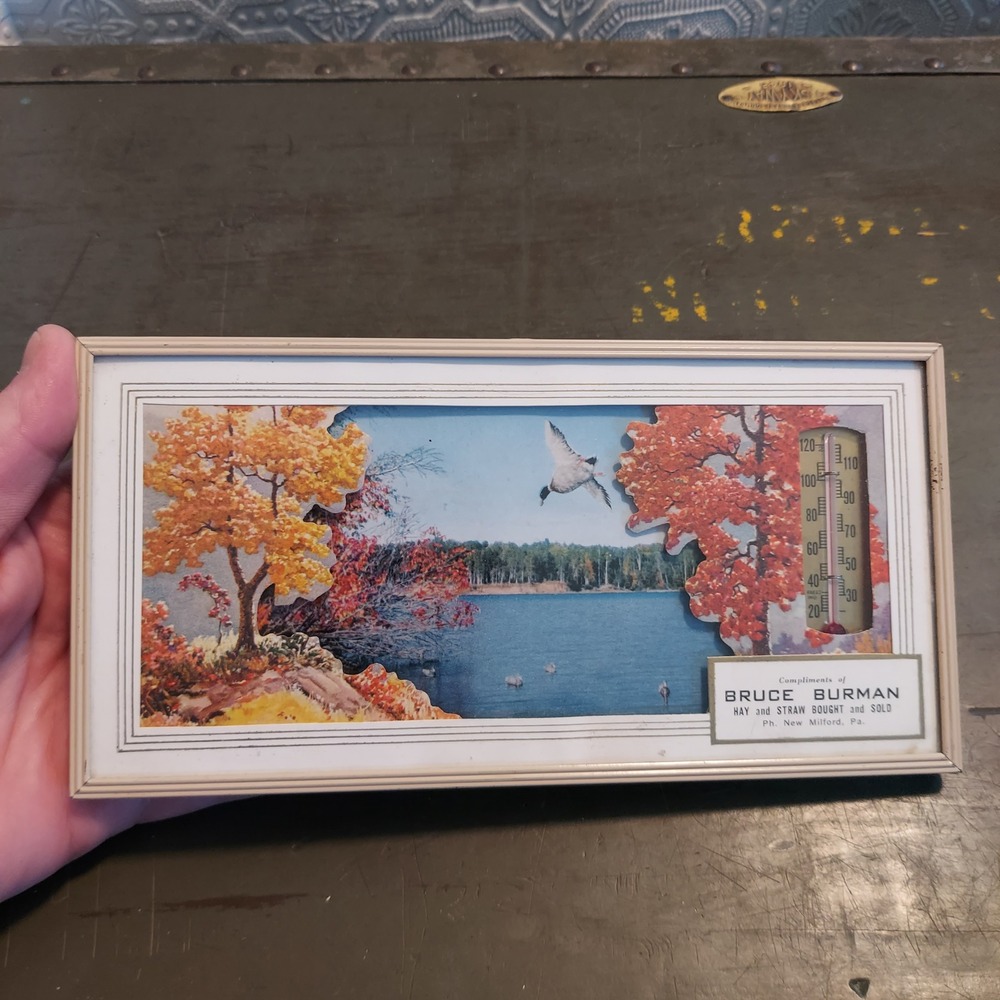 Vintage 1958 Bruce Burman Advertising 3D Duck Lake Thermometer Calendar 4x8